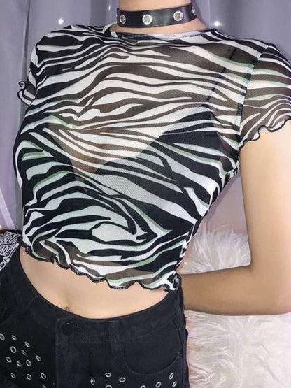 Zebra Striped Printed Mesh Crop Top Legacy Boutiques Legacy Boutiques
